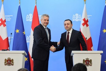 karl-nehameri-saqarTvelo-Zalian-swori-mimarTulebiT-midis-politika-SesaZleblobis-xelovnebaa-unda-vmoZraobdeT-SesaZleblobebis-derefanSi-da-amas-saqarTvelos-mTavroba-akeTebs