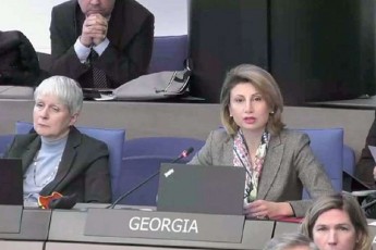 evropis-sabWos-ministrTa-komitetis-sxdomaze-Tamar-taliaSvilma-saparlamento-asambleis-prezidents-tini-koqss-sityviT-mimarTa