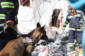 qarTveli-maSvelebi-TurqeTSi-samaSvelo-operacias-uwyvet-reJimSi-ganagrZoben