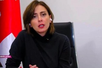 xatia-dekanoiZe-senatorebTan-Sexvedraze-usafrTxoebis-sakiTxebze-politikur-patimrebze-saqarTvelos-ganviTarebasa-da-momavalze-visaubrebT