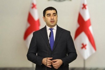 Salva-papuaSvili-parazitobaa-roca-cdilob-omi-gamoiyeno-sakuTari-politikuri-dRis-wesrigisTvis-rodesac-aq-aanonseb-aqcias-da-Semdeg-midixar-ukrainaSi-imisTvis-rom-iq-Tavi-gamoiCino