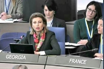 Tamar-taliaSvili-ukrainaSi-mimdinare-omis-wlisTavTan-dakavSirebiT-gamarTul-evropis-sabWos-ministrTa-komitetis-sagangebo-sxdomaze-sityviT-gamovida