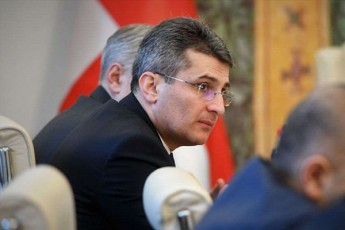mamuka-mdinaraZe-saqarTvelos-kanonmdeblobaSi-ar-arsebobs-muxli-romelic-iTvaliswinebs-msjavrdebulis-ucxoeTSi-gadayvanas-es-yvelaferi-feikia