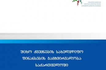 ra-ewera-2016-wels-arasamTavroboebis-mier-SemuSavebul-politikis-dokumetSi-romelic-ucxo-qveynebis-saxelmwifo-finansebis-gamWvirvalobas-exeboda