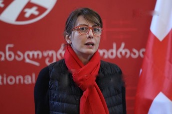 xatia-dekanoiZe-ocnebam-rusuli-kanonproeqti-Semoitana-rac-Seexeba-Sedarebebs-evroparlamentSi-araviTari-kanonproeqti-ar-ganixileba-evrokomisias-SeiZleba-mxolod-iniciativis-mcdeloba-hqondes