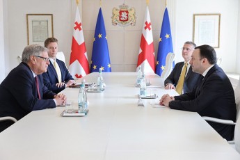 premier-ministri-irakli-RaribaSvili-demokratiis-erovnuli-fondis-Tavmjdomares-Sexvda