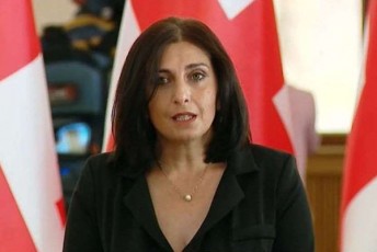 Tamar-korZaia-giorgi-vaSaZis-gancxadebiT-Seuracxyofili-ver-viqnebi-masTan-Sexvedrebis-drosac-vsvamT-yavas-da-ise-viRebT-gadawyvetilebebs-samwuxarod-samuSao-jgufis-Sexvedrebze-yava-ar-yofila