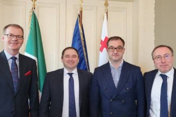 saparlamento-delegacia-irlandiis-centraluri-saarCevno-komisiis-Tavmjdomares-Sexvda
