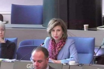 Tamar-taliaSvilma-evropis-sabWos-ministrTa-komitetze-isaubra-saqarTvelos-aqtiur-CarTulobaze-regionTa-kongresis-reformebSi