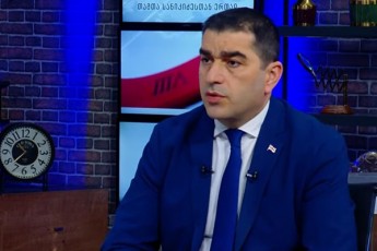 Salva-papuaSvili-mosamarTleebis-sanqcirebaze-problema-ara-gadawyvetilebaSi-aramed-imaSia-rom-aravin-Tvlis-qarTvel-xalxs-Rirsad-momxdar-faqtze-mtkicebulebebi-warudginos
