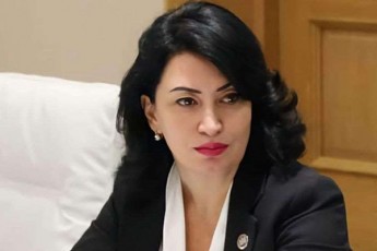 greta-wiwava-maRali-standarti-gamWvirvaloba-da-eleqtronuli-teqnologia--es-aris-saqarTveloSi-Catarebuli-bolo-arCevnebis-mokle-Sefaseba