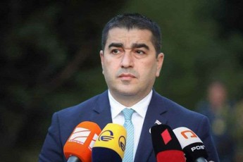 Salva-papuaSvili-Tu-es-adamianebi-amboben-rom-evropul-ojaxSi-araferi-esaqmeba-ojaxs-samSoblos-rwmenas---es-faqtobrivad-igivea-gviTxran-rom-ilia-WavWavaZis-Rirebulebebs-araferi-aqvs-saerTo-evropasTan