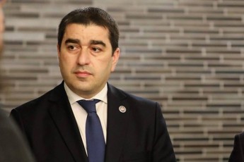 Salva-papuaSvili-social-demokratebis-liderebis-gancxadeba-damafiqrebelia-xazgasma-rom-evropul-ojaxSi-konservatiul-Rirebulebebs-araferi-esaqmeba---igivea-gviTxran-rom-ilia-WavWavaZis-Rirebulebebs-araferi-aqvs-saerTo-evropasTan
