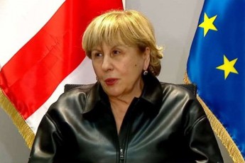 giuli-alasania-strasburgisgan-ver-miviReT-is-gadawyvetileba-romelsac-velodiT