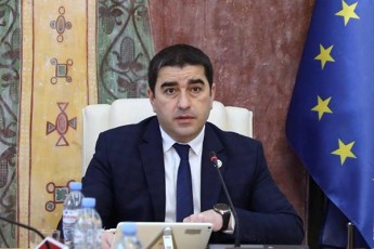 Salva-papuaSvili-strasburgis-sasamarTlos-gadawyvetilebaze-movuwodeb-windauxedavi-dezinformaciuli-kampaniis-monawileebs-aRadginon-reputaciuli-ziani-romelic-maT-miayenes-saqarTvelosa-da-mis-xalxs