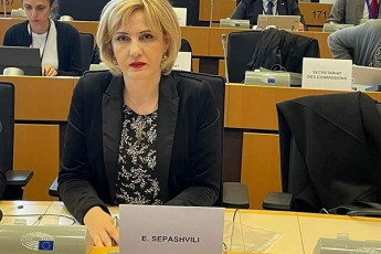 eka-sefaSvili-intensiuri-muSaoba-mimdinareobs-rigi-evrodireqtivebis-saqarTvelos-kanonmdeblobaSi-asaxvisaTvis