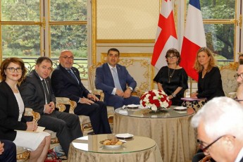 Salva-papuaSvili-safrangeTis-erovnuli-asambleis-Tavmjdomares-Sexvda