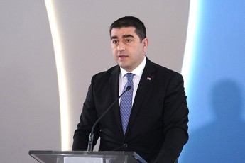 Salva-papuaSvili-dRes-aris-saukeTeso-dro-raTa-Cveni-dasavleli-partniorebi-dagvexmaron-usafrTxoebis-garemosTan-gamklavebaSi-nato-sa-da-evrokavSirSi-damsaxurebul-wevrobaSi