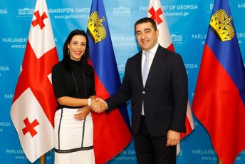 Salva-papuaSvili-lixtenStainis-samTavros-sagareo-saqmeTa-ganaTlebisa-da-sportis-ministrs-Sexvda