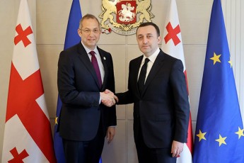 premier-ministri-irakli-RaribaSvili-erovnuli-demokratiuli-institutis-NDI-prezidents-derek-mitCels-Sexvda