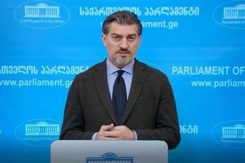 mixeil-yavelaSvili-saakaSvilis-avadmyofobasTan-da-wamebasTan-dakavSirebiT-mTels-msoflios-nacars-ayridnen-TvalSi-gaixseneT-ramxela-zewolas-vuZlebdiT-yoveldRiurad-Tundac-evroparlamentarebis-mxridan