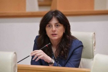 maia-biTaZe-opozicias-mizanmimarTulad-qmniT-fons-rom-qarTuli-ocnebis-xelisuflebaSi-yofnisas-qveyanam--kandidatis-statusi-ar-miiRos
