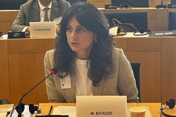 maia-biTaZe-administraciul-samarTaldarRvevaTa-kodeqsSi-dagegmili-cvlilebebis-mixedviT-gaTvaliswinebul-iqna-gamonaklisi-specialurad-gamoyofil-adgilebsa-da-gamofenebze-SesaZlebelia-ZaRlis-sabelis-an-alikapis-gareSe-yola