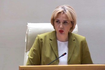 irakli-RaribaSvili-eka-sefaSvils-am-adamianebma-radikalurma-opoziciam-erTxel-ukve-daangries-es-qveyana-da-araviTar-SemTxvevaSi-ar-davangrevinebT-xelmeored