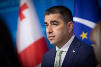 Salva-papuaSvili-samwuxarod-girCis-amocana-iyo-da-rCeba-Tavdacvis-kodeqsis-obstruqcia-da-ganxilvis-procesis-xelovnurad-xelSeSla