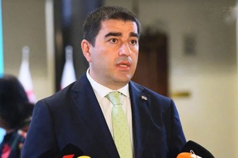 Salva-papuaSvili-bolo-aTwleulSi-saqarTvelom-Zireulad-Secvala-demokratiuli-institutebi-da-gaaumjobesa-Tavdacvis-SesaZleblobebi-nato-ki-samitidan-samitamde-mxolod-imeorebs-dapirebas-wevrobis-Sesaxeb
