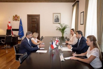 Salva-papuaSvilma-CexeTis-respublikis-elCTan-gamosamSvidobebeli-Sexvedra-gamarTa