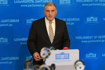 mixeil-sarjvelaZe-znedacemulobaa-roca-sxvaobas-ver-poulob-irina-enuqiZesa-da-giuli-alasanias-Soris
