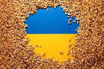 POLITICO-ukraina-evrokavSirisa-da-evrokavSiris-wevri-qveynebis-winaaRmdeg-msoflio-savaWro-organizaciaSi-sarCelis-SetaniT-imuqreba-Tu-ukrainis-soflis-meurneobis-produqciis-eqsportis-akrZalva-ar-gauqmdeba