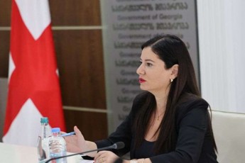 nino-giorgobiani-cdiloben-skandalis-agorebas-imasTan-dakavSirebiT-rom-irakli-RaribaSvili-aSS-Si-gaemgzavra-sakuTar-SvilTan-erTad---premieris-mgzavrobis-Tu-nebismieri-sxva-xarji-saxelmwifo-biujetidan-ar-gaweula