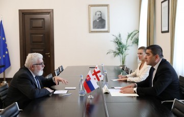 Salva-papuaSvilma-slovakeTis-respublikis-elCTan-gamosamSvidobebeli-Sexvedra-gamarTa