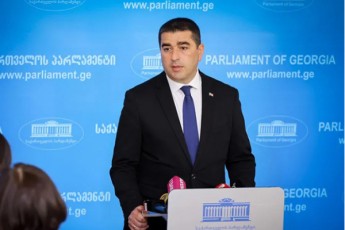 Salva-papuaSvili-mniSvnelovania-rom-prezidentis-saparlamento-mdivani-sakuTari-uflebamosilebis-da-kompetenciis-farglebSi-Caetios