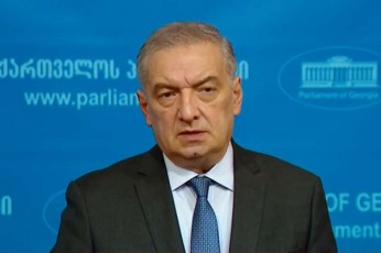 giorgi-volski-oTar-farcxalaZisTvis-moqalaqeobis-Sewyvetaze-rodesac-iusticiis-saministro-iRebs-gadawyvetilebas-es-gamomdinareobs-im-kanonmdeblobidan-romelic-saqarTveloSi-moqmedebs