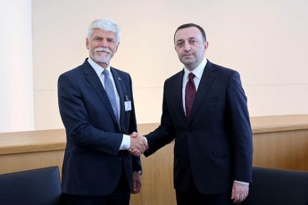 irakli-RaribaSvili-nayofieri-Sexvedra-mqonda-CexeTis-respublikis-prezident-petr-pavelTan-saubari-Seexo-saqarTvelos-progressac-evrointegraciis-gzaze-da-evrokavSiris-kandidati-qveynis-statuss
