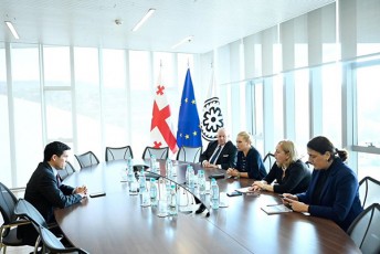 naTia-Turnava-saqarTvelos-erovnul-banki-gansakuTrebul-mniSvnelobas-aniWebs-ssf-Tan-TanamSromlobas-da-fondTan-intensiuri-komunikacia-momavalSic-gagrZeldeba