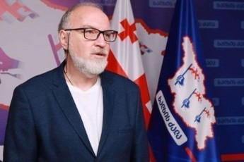 daviT-qarTveliSvili-nel-nela-irkveva-Tu-ra-gziT-xdeba-amerikis-kongresmenebisa-Tu-senatorebis-monawileoba-sxvadasxva-tipis-SekveTili-rezoluciebis-SemuSavebasa-Tu-sanqciebis-dawesebaSi