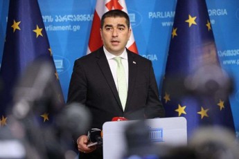 Salva-papuaSvili-statusis-ar-miniWebis-aranairi-mizezi-ar-arsebobs---Tu-vinmes-unda-sababi-moZebnos-yovelTvis-SeZlebs