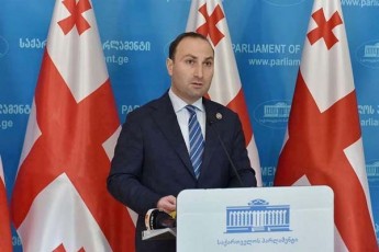 anri-oxanaSvili-samwuxaroa-rom-prezidenti-xelmZRvanelobs-ara-sazogadoebis-interesebiT-aramed-opoziciis-interesebiT-rogorc-Cans-opoziciis-winaSea-angariSvaldebuli