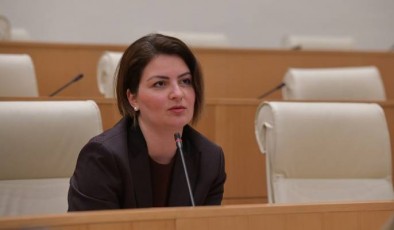 ana-nacvliSvili---lelo-prezidentis-impiCments-mxars-ar-dauWers-qarTul-ocnebas-vinc-SeuerTdeba-amisTvis-Zalian-mZime-politikur-fass-gadaixdis