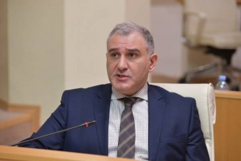 mixeil-sarjvelaZe---manifestaciebis-Sesaxeb-kanonproeqtze-araswori-STabeWdilebis-Seqmnas-cdiloben