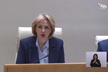Sua-derefani-dRes-kidev-ufro-aqtualuri-xdeba-da-misi-ganviTareba-mimdinareobs---levan-daviTaSvilis-pasuxi-eka-sefaSvilis-kiTxvaze