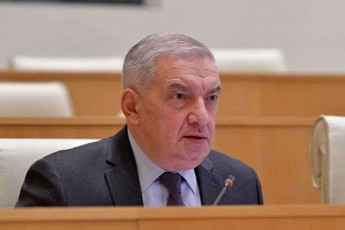 giorgi-volski-pozicia-romelic-salome-zurabiSvils-kandidatis-statusTan-dakavSirebiT-aqvs-qveynis-interess-absoluturad-scildeba