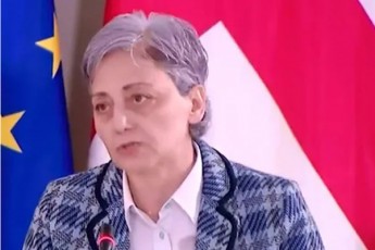 maia-kopaleiSvili-daskvna-aris-tendenciuri-sakonstitucio-sasamarTlo-mTlianad-Sevida-politikur-procesSi---dasabuTebaSi-ZiriTad-argumentebs-akeTebs-xedvaze-imedi-aqvs-rom-SesaZloa-parlamentma-ar-miiRos-saboloo-gadawyvetileba