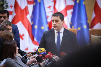 Salva-papuaSvili-radikalur-opozicias-surs-rom-qveyanas-evrokavSiris-gzaze-progresi-ar-hqondes-fiqroben-rom-amis-instrumentirebas-SeZleben-areulobisa-da-revoluciuri-scenarebisTvis