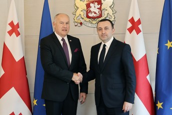 saqarTvelos-premier-ministri-irakli-RaribaSvili-CexeTis-respublikis-sagangebo-da-sruluflebian-elCs-saqarTveloSi--petr-kubernats-Sexvda