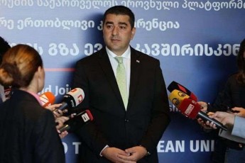 Salva-papuaSvili-patimarTan-paemnis-SesaZleblobas-kanonmdebloba-aregulirebs---saakaSvilTan-dakavSirebiT-parlamentis-Tavmjdomaris-keTilganwyobis-borotad-gamoyeneba-xdeboda-es-vizitebi-sinamdvileSi-politikuri-paemnis-xasiaTs-atarebda